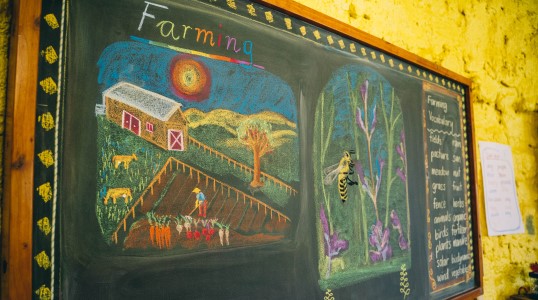 class-three-538×300-slider2