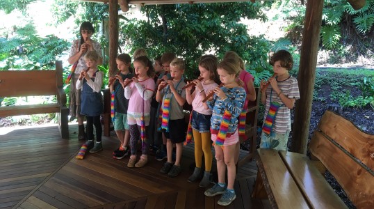 music-program-538×300-slider11